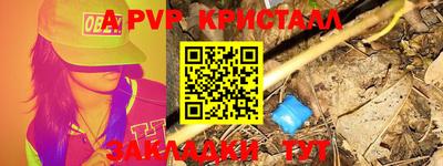 ECSTASY Канаш